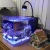 Lampa LED do akwarium morskiego Asta 20